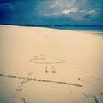 Steve Perrin - @steveperrin17 - Instagram