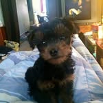steven persinger - @persinger.steven - Instagram