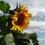 Steven L. Person - @steveperson250 - Instagram