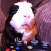 stevenpersson793 - @stevenpersson793 - TikTok