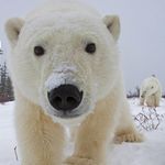 Steve Petrone - @ssapetrone - Instagram