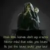 Steve Pfeifer - @user023120215 - TikTok