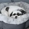 stevepfeifer966 - @stevepfeifer966 - TikTok