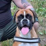 Steve Pfund - @stevepfund - Instagram