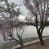 Steve Phan862 - @stevephan862 - TikTok