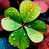 Steve Phan - @steve.phan7 - TikTok