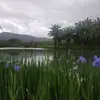 Steve Phan - @steve.phan5 - TikTok