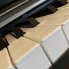 StevePiano - @stevespiano - TikTok