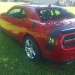 steve  Pickens - @stvpickens - Instagram