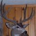 Steve Pickens - Facebook