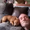 stevespillers1 - @stevespillers1 - TikTok