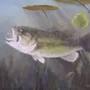 spinnersteve - @spinnersteve - TikTok