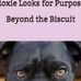 Steve Piscitelli-Author &amp; Community Advocate - Facebook