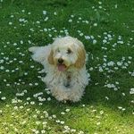 Steve Pitman - @steve.pitman.90 - Instagram
