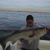 Stephen Pizzo - Facebook