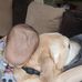 Steve &amp; Oren's place - Facebook