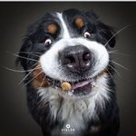 Steve/Spin/Coddy - @steveplace - Instagram