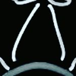 steve the plank - @stevetheplank - Instagram