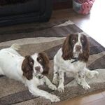 Steve Plaskett - @plaskettsteve - Instagram