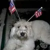 steve_platt - @steve_platt - TikTok