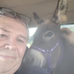 Steve Pleasant - @steve_pleasant - Instagram