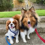 Steve Pohl - @pohlster - Instagram