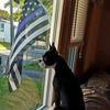 Steve Pohle515 - @stevepohle - TikTok