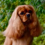 Steve Wraith - @stevepointers - Instagram
