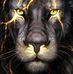 Steve Polak - Facebook