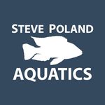 Steve Poland Aquatics - @spcichlids - Instagram