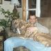 Steve Polaski - Facebook