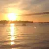 Steve Polizzi789 - @stevepolizzi1 - TikTok