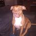 Steven Poll - Facebook