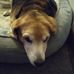 Steve Polo - Facebook