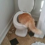 Steve Polyak - @stevepolyak - Instagram