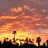 stevenpomeranz - @stevenpomeranz - TikTok