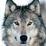 Steve Pomeroy - @steveepomeroy - Instagram