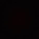 @pompano_steven - Instagram