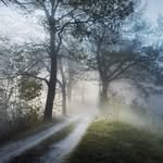 Steven Pompay - @stevenpompay - Instagram