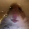 stevenpompaguer16 - @stevenpompaguer16 - TikTok