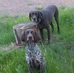 Steve Ponder - Facebook