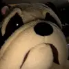 steve - @stevepoo - TikTok