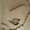 Stevepop - @stevepopinteriors - TikTok