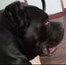 Steve Poston - Facebook