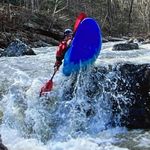 Steve Powers - @fishdoc.powers - Instagram