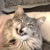 Stephpreheim - @stephpreheim - TikTok