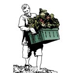 Steve Prescott | Farmer - @prescotts.patch - Instagram