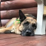 Steve Primm - @steveprimm - Instagram