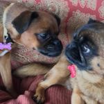 Steve Prior - @steve60prior - Instagram