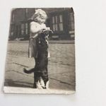 Steve Prior - @stevepr1or - Instagram